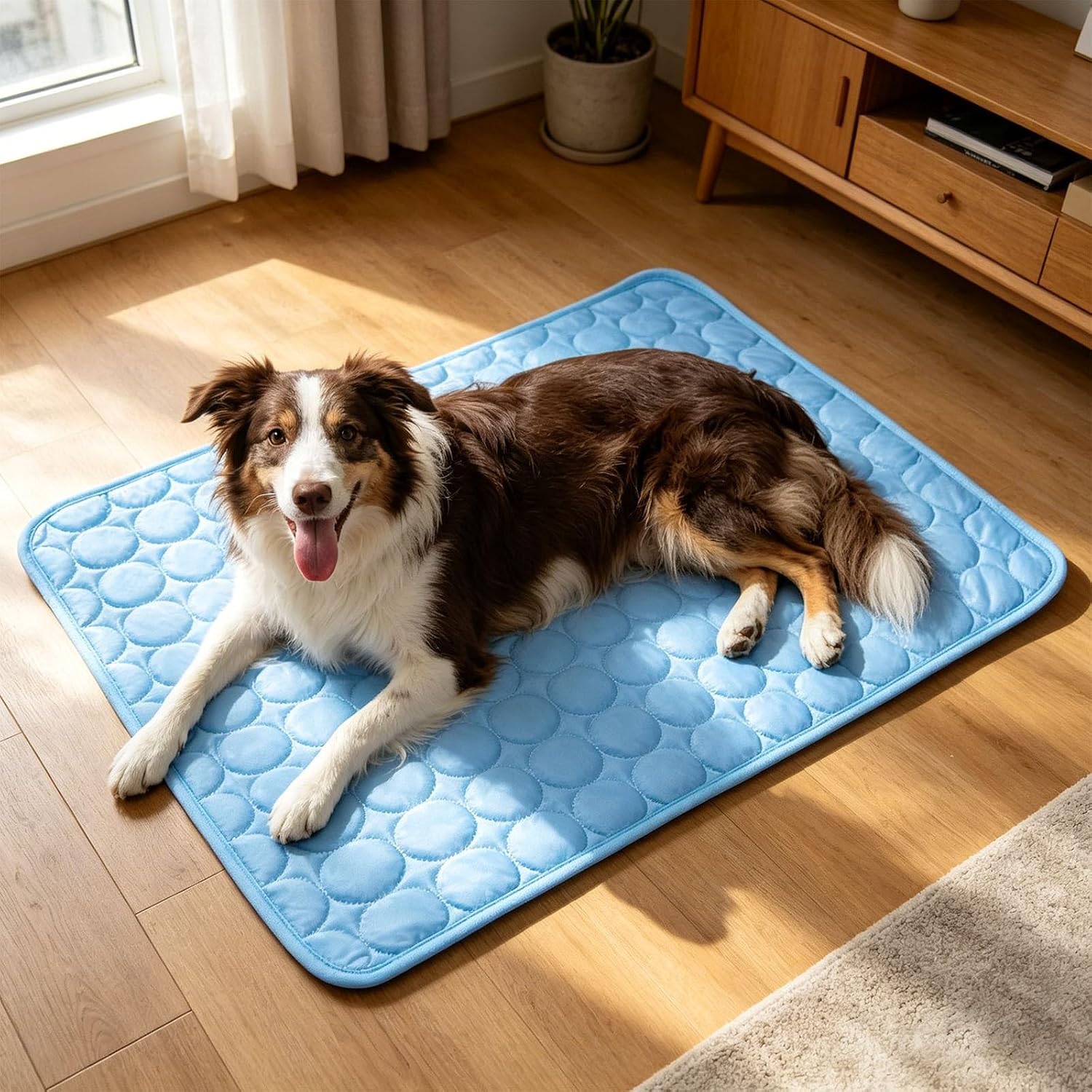 Sarah M. ⭐⭐⭐⭐⭐
“My Labrador overheats really easily in the summer, and this cooling mat has made such a difference. He started using it straight away and now chooses to lie on it instead of the floor. Great quality and definitely worth it!”